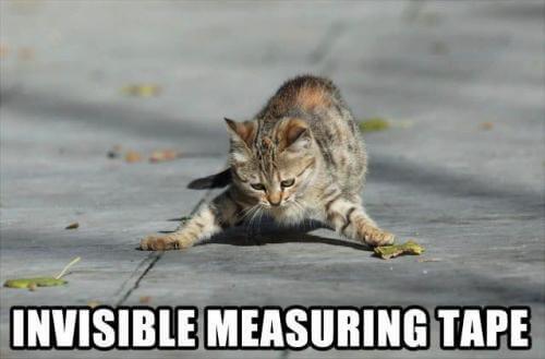 invisible-measuring-tape