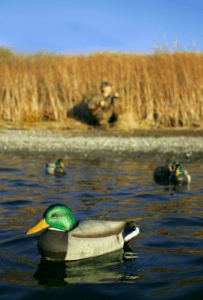 Duck Hunting for Employees